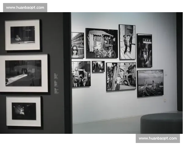 聚焦精彩瞬间定格时代记忆展现非凡魅力与无限感动的视觉盛宴